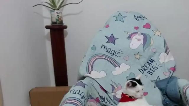 Image 12 of princezzlove35 Stream on Chaturbate on 16 months ago
