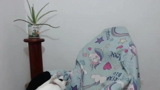 Image 3 of princezzlove35 Stream on Chaturbate on 16 months ago