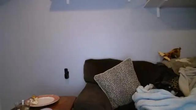 Image 8 of principessanewyork Stream on Chaturbate on 20 months ago