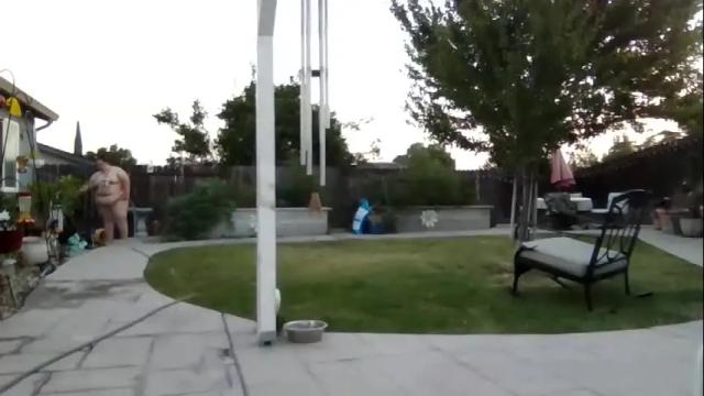 Image 3 of pugglelover Stream on Chaturbate on 3 months ago