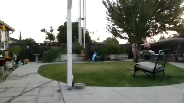 Image 4 of pugglelover Stream on Chaturbate on 3 months ago