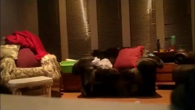 Image 7 of purecharismacpl Stream on Chaturbate on 5 months ago