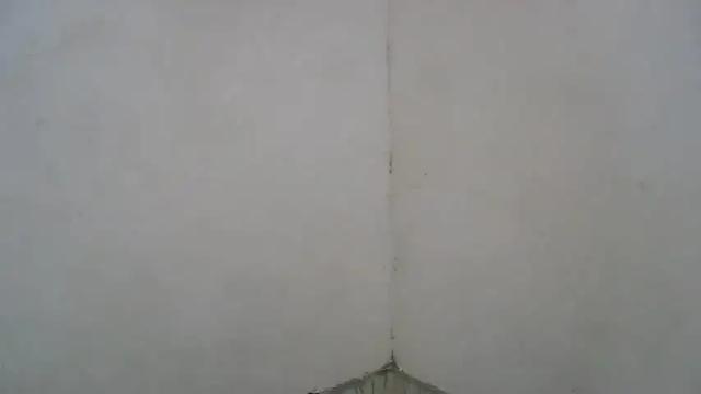 Image 3 of purple_23 Stream on Chaturbate on 17 months ago