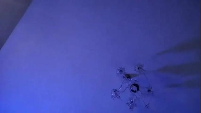 Image 3 of pussy_buterfly Stream on Chaturbate on 9 days ago