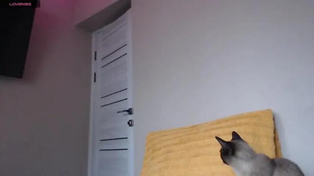 Thumbnail 1, qeeensgambit's Stream at Chaturbate, 15 months ago