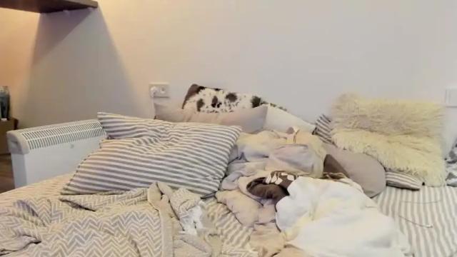 Image 7 of qtiee Stream on Chaturbate on 20 months ago