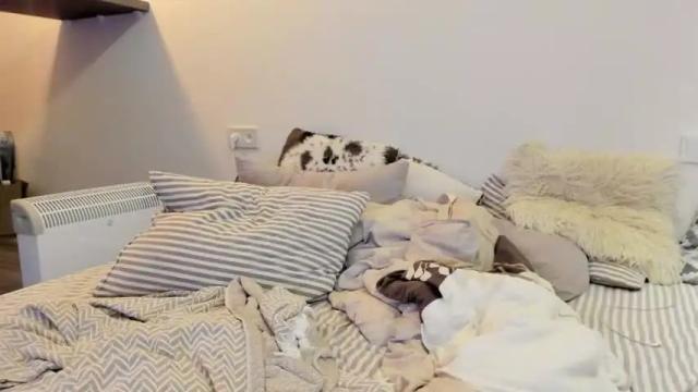 Image 8 of qtiee Stream on Chaturbate on 20 months ago