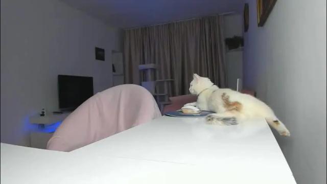 Thumbnail 2, queen_yasmine's Stream at Chaturbate, 1 month ago