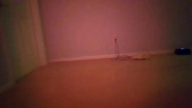 Image 4 of queenbee6269 Stream on Chaturbate on 24 months ago