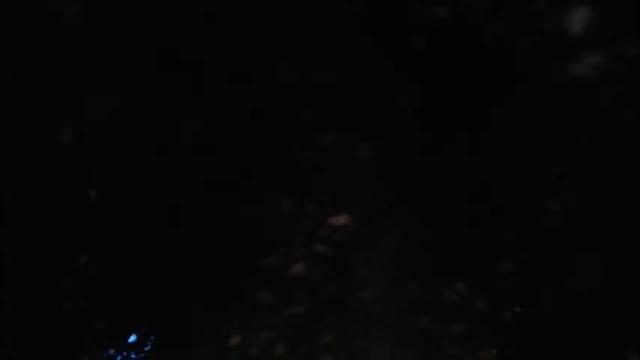 Image 10 of queenfox4u Stream on Chaturbate on 2 months ago