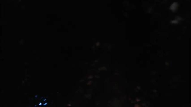 Image 11 of queenfox4u Stream on Chaturbate on 2 months ago