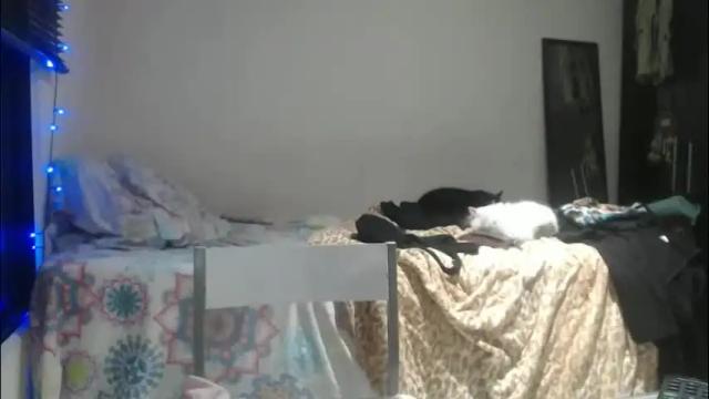 Image 10 of queennicky88 Stream on Chaturbate on 3 months ago