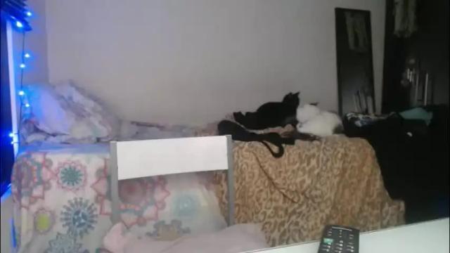 Image 8 of queennicky88 Stream on Chaturbate on 3 months ago