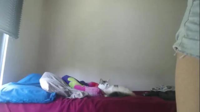 Image 4 of queennicky88 Stream on Chaturbate on 24 days ago