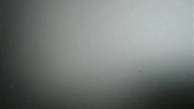 Image 10 of queennicky88 Stream on Chaturbate on 1 month ago