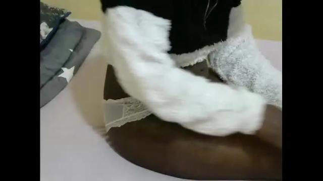 Image 11 of quincy_joy11 Stream on Chaturbate on 14 months ago