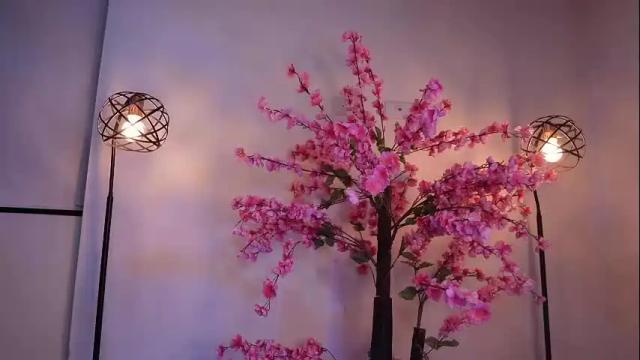 Image 2 of r4veenn Stream on Chaturbate on 6 months ago