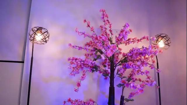 Thumbnail 2, r4veenn's Stream at Chaturbate, 3 months ago