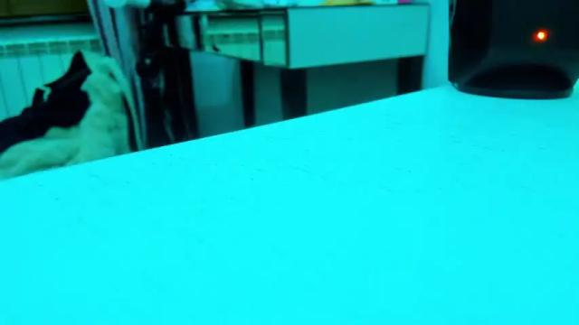 Image 3 of rachel_jo Stream on Chaturbate on 14 months ago
