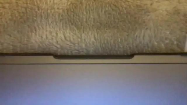 Image 6 of ragazzad_oro Stream on Chaturbate on 18 months ago