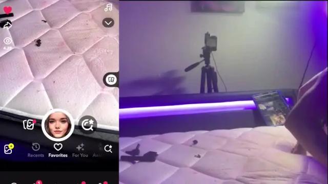 Image 12 of ravenashley Stream on Chaturbate on 8 months ago