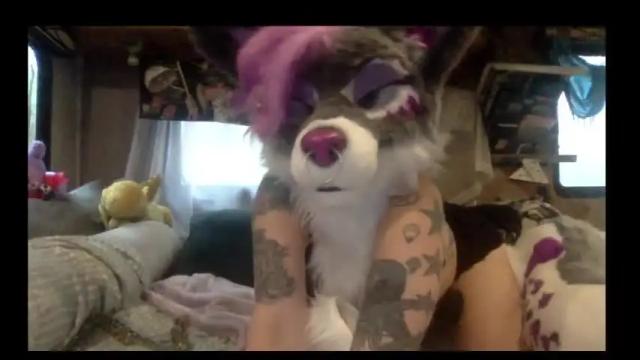 Image 10 of raynebowpaws Stream on Chaturbate on 16 months ago