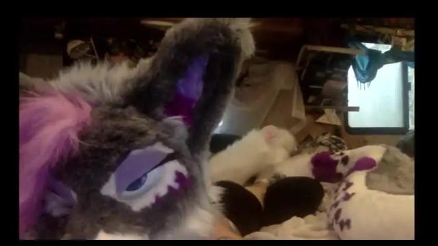 Image 12 of raynebowpaws Stream on Chaturbate on 16 months ago