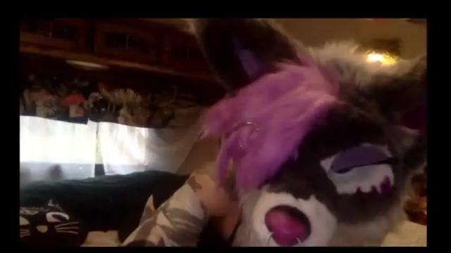 Image 2 of raynebowpaws Stream on Chaturbate on 16 months ago