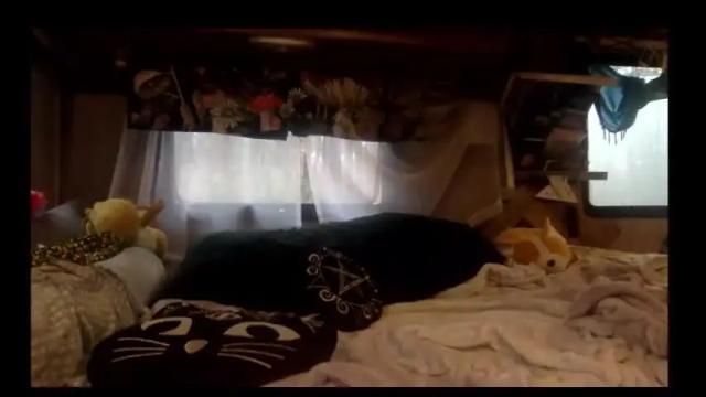 Image 7 of raynebowpaws Stream on Chaturbate on 16 months ago