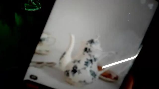 Image 8 of raziel_haze Stream on Chaturbate on 17 days ago