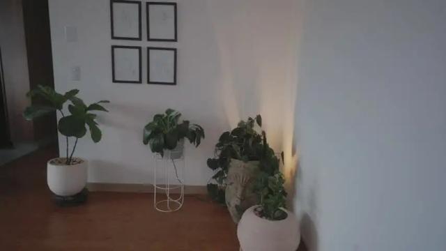 Thumbnail 2, rebeccastonee's Stream at Chaturbate, 6 days ago