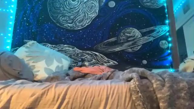 Image 10 of recklessstella Stream on Chaturbate on 16 months ago