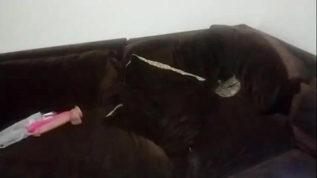 Image 6 of reelfreaky Stream on Chaturbate on 28 days ago