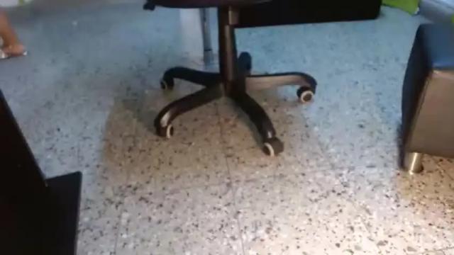 Image 2 of renatasmiith Stream on Chaturbate on 15 months ago