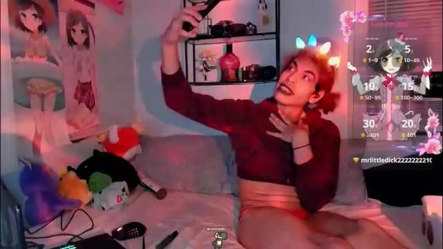 Image 4 of residentgoblin Stream on Chaturbate on 26 days ago