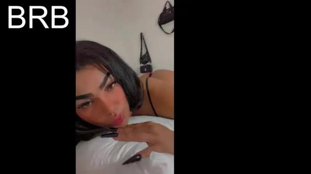 Image 7 of rgmo17 Stream on Chaturbate on 3 days ago