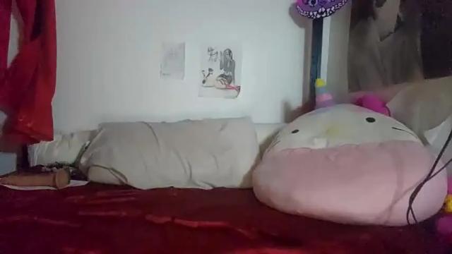 Image 7 of ricebunnybaby Stream on Chaturbate on 16 months ago