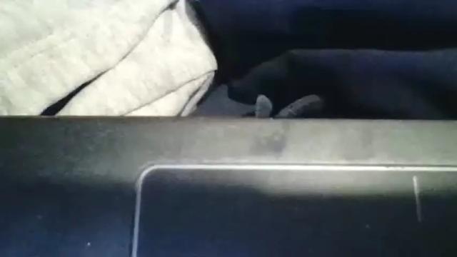 Image 3 of rock_696969 Stream on Chaturbate on 15 months ago