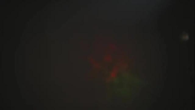 Image 7 of rocknrose Stream on Chaturbate on 1 month ago