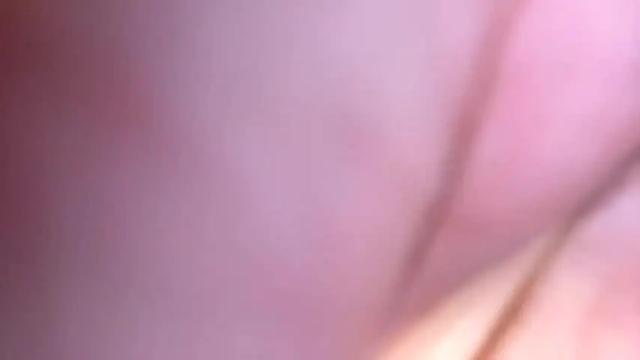 Thumbnail 3, rosaxxxmariposa's Stream at Chaturbate, 17 months ago