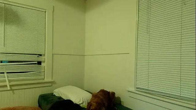 Thumbnail 3, rosegold18's Stream at Chaturbate, 4 months ago