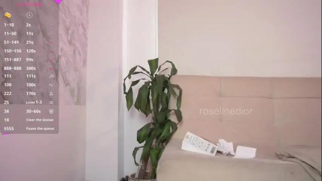 Thumbnail 3, roselinedior's Stream at Chaturbate, 25 days ago