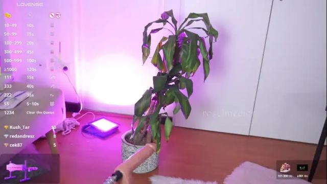 Image 11 of roselinedior Stream on Chaturbate on 18 days ago