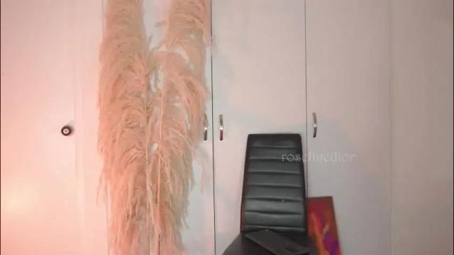 Image 10 of roselinedior Stream on Chaturbate on 1 month ago