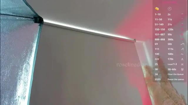 Image 10 of roselinedior Stream on Chaturbate on 1 month ago