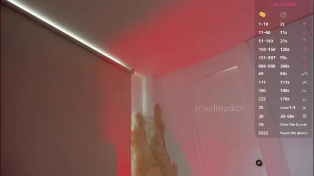 Image 2 of roselinedior Stream on Chaturbate on 1 month ago