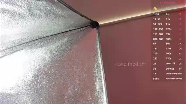 Image 8 of roselinedior Stream on Chaturbate on 1 month ago