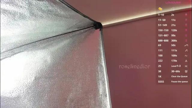 Thumbnail 3, roselinedior's Stream at Chaturbate, 1 month ago
