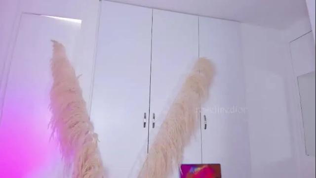 Thumbnail 1, roselinedior's Stream at Chaturbate, 1 month ago