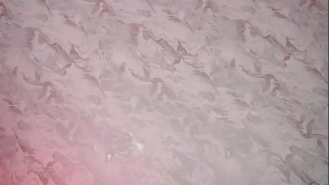 Thumbnail 1, roselinedior's Stream at Chaturbate, 1 month ago